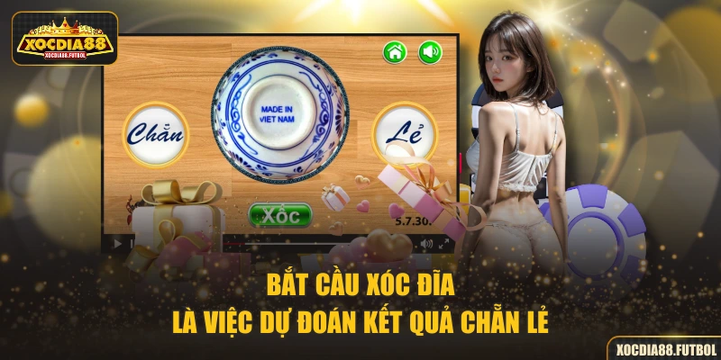 Bắt cầu xóc đĩa là việc dự đoán kết quả chẵn lẻ